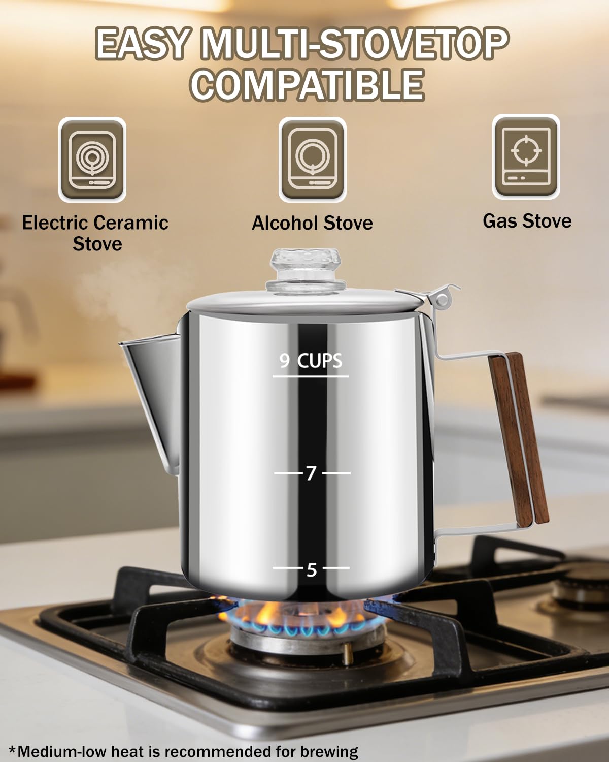 12 Cup Stainless Steel Coffee Percolator W939