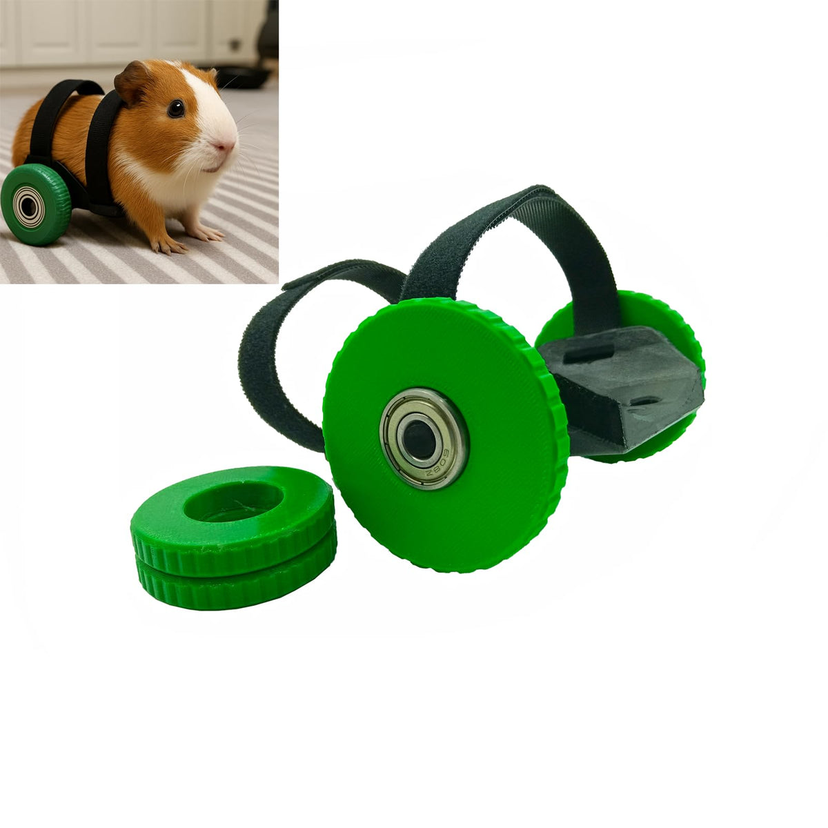 Guinea Pig Wheelchair with Adjustable Harness, 2 Wheel Sizes S169330
