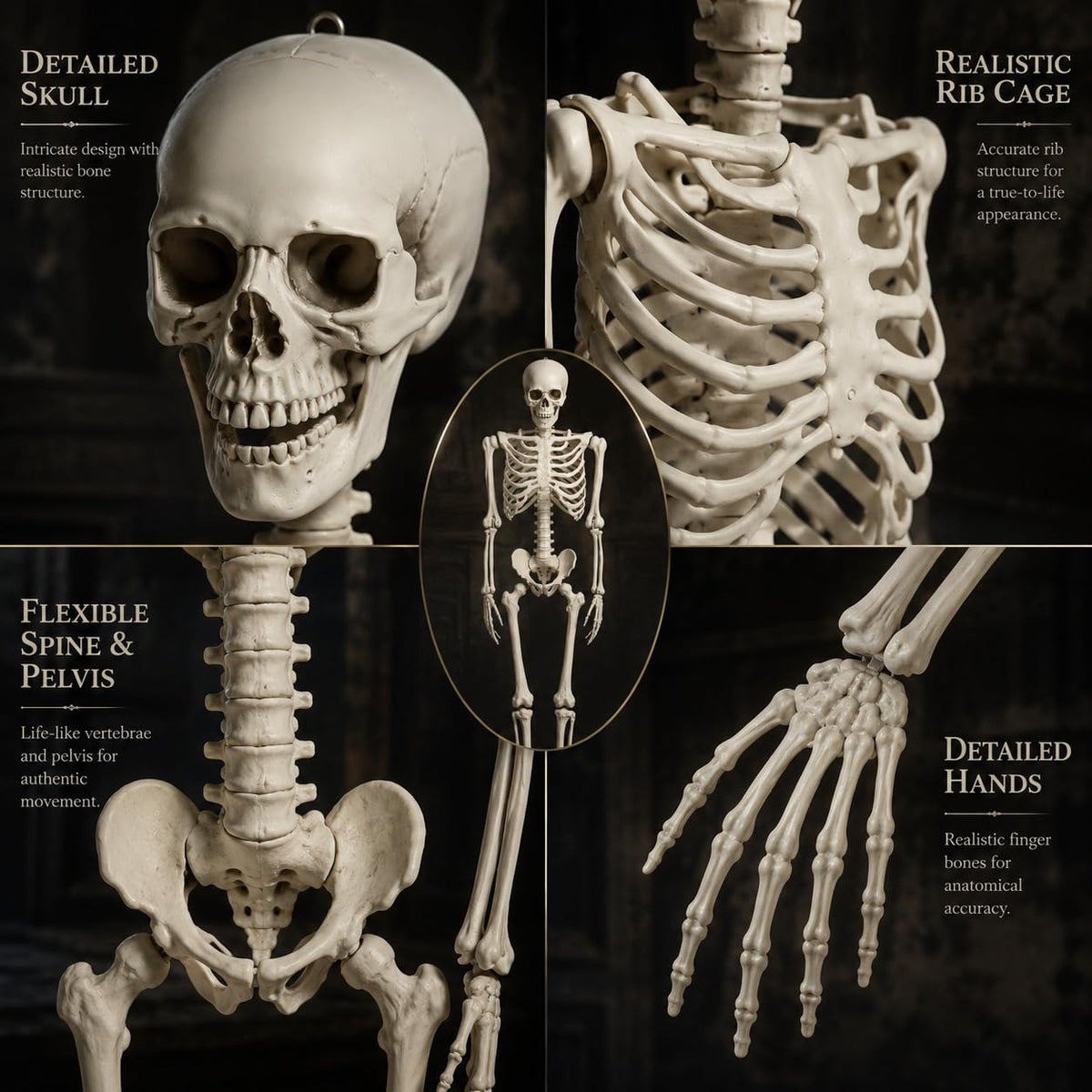 Life Size Poseable Skeleton P137383