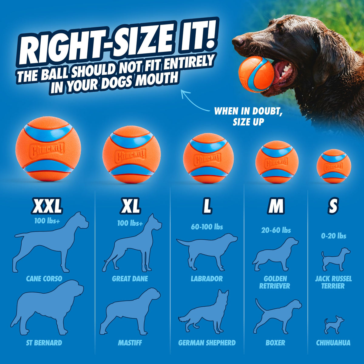 Dog Toy Durable Rubber Medium 2.5-in 2 Pack A6827